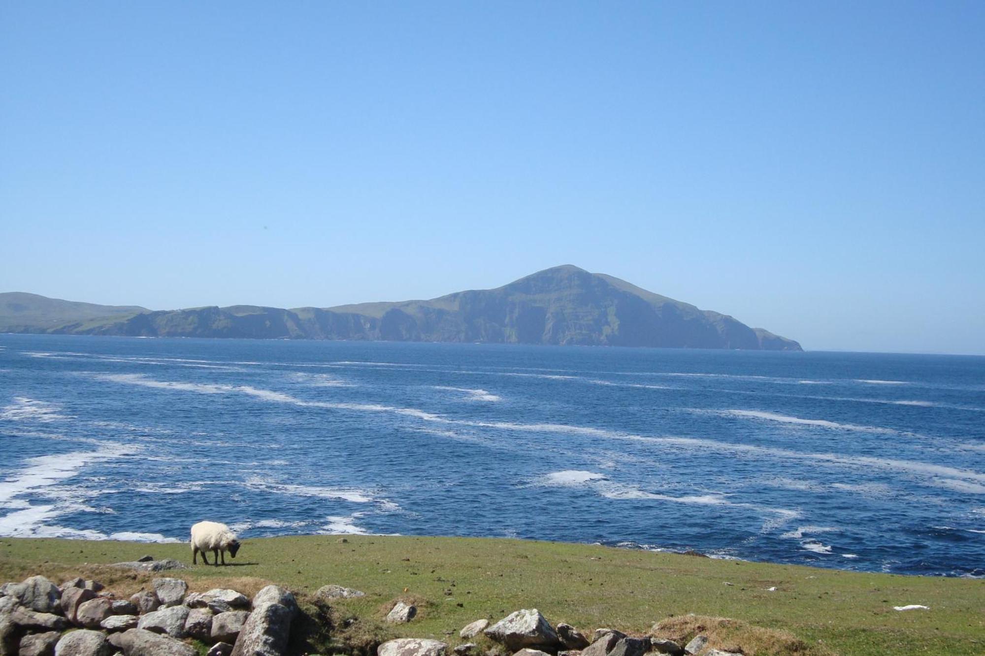 Hy Breasal B&B Achill Sound Dış mekan fotoğraf